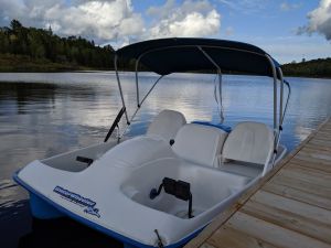 Electric Paddle Boat Rental